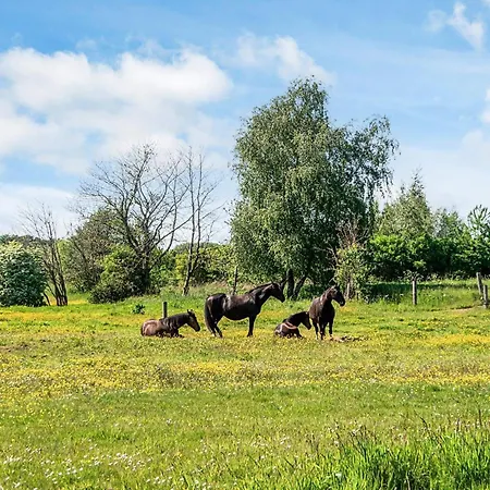 Prázdninový dům House With Beautiful Garden