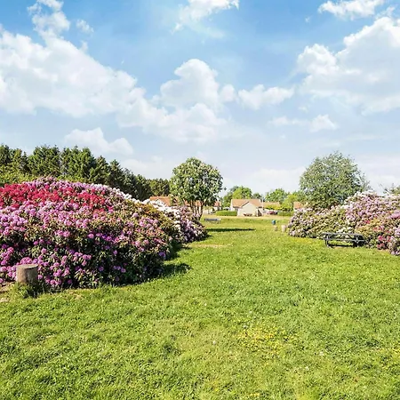 House With Beautiful Garden *