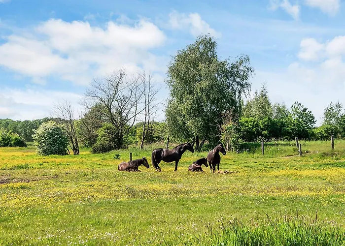 Σπίτι διακοπών House With Beautiful Garden