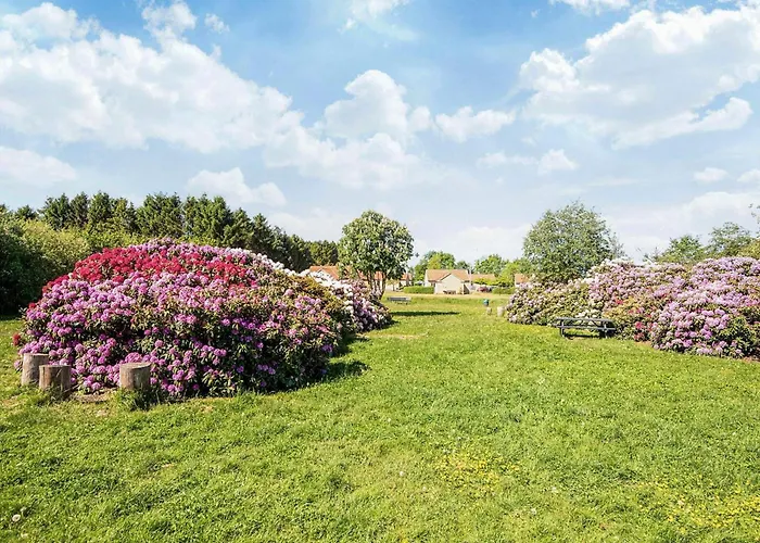 House With Beautiful Garden *